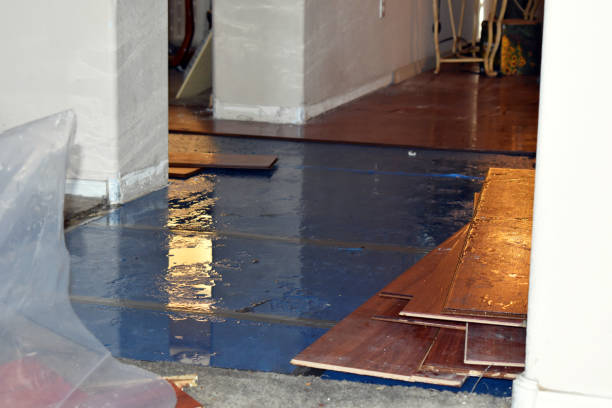 Professional Sewage Cleanup technician working in Clare, MI